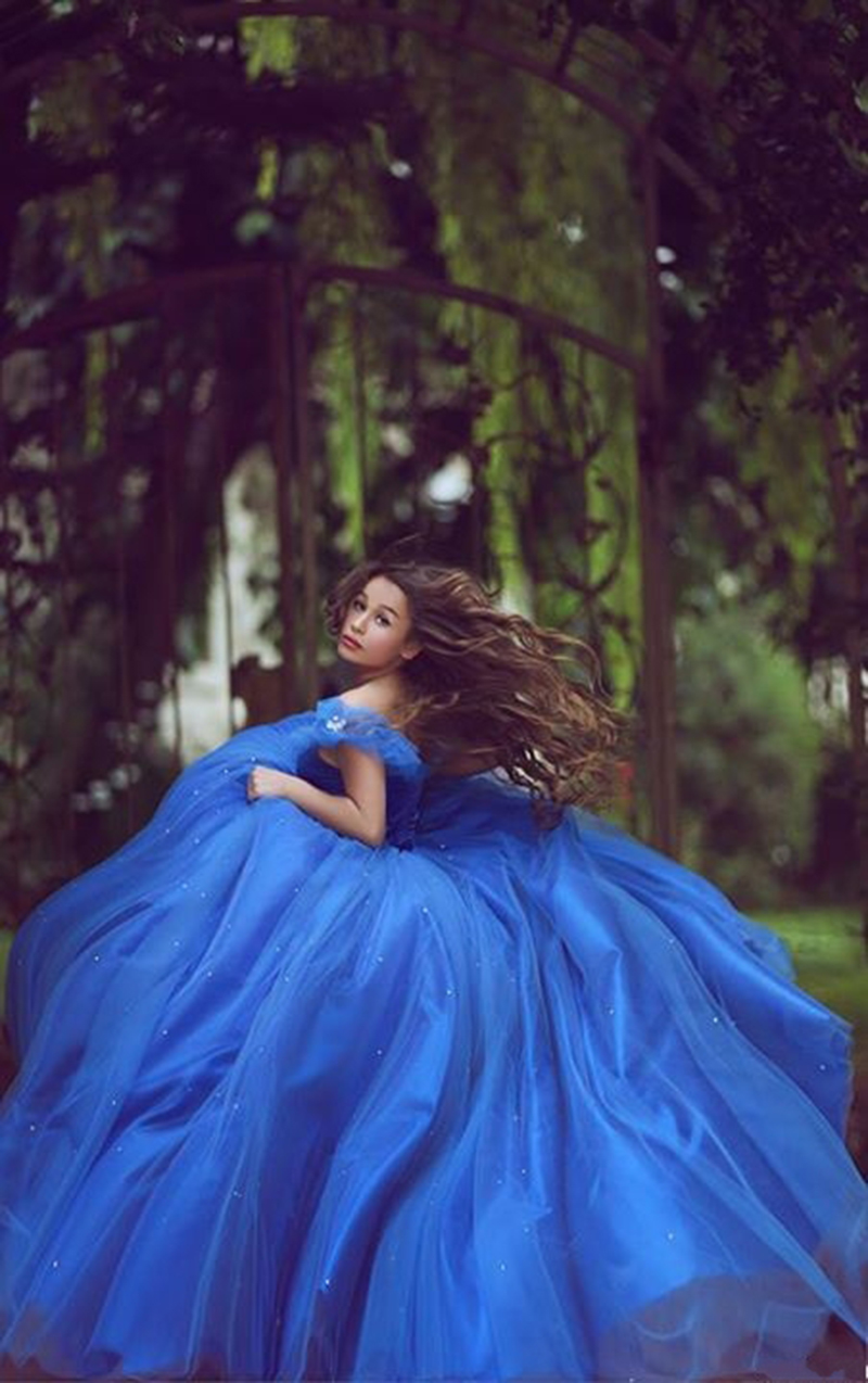 Hot Cinderella Dresses Off-shoulder Royal Blue Prom Dresses Beaded ...